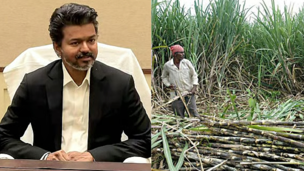 Sugarcane Farmers to Get 709 50 Per Tonne Incentive TN Govt Releases 603 Crore