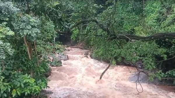 weather rain ooty
