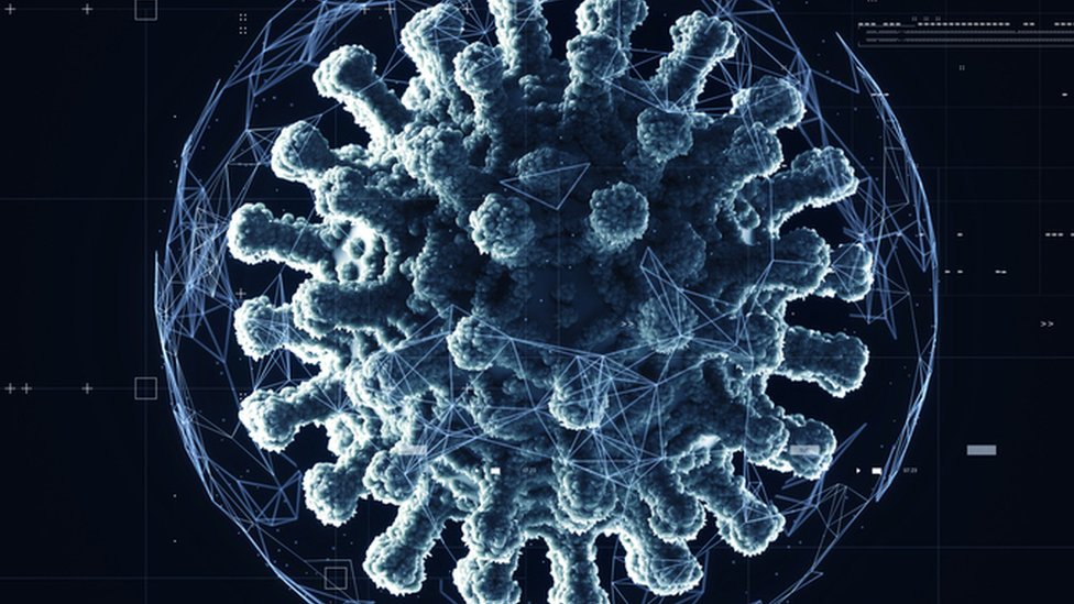 ஆன்டிபாடிகளை தடுக்கிறது 