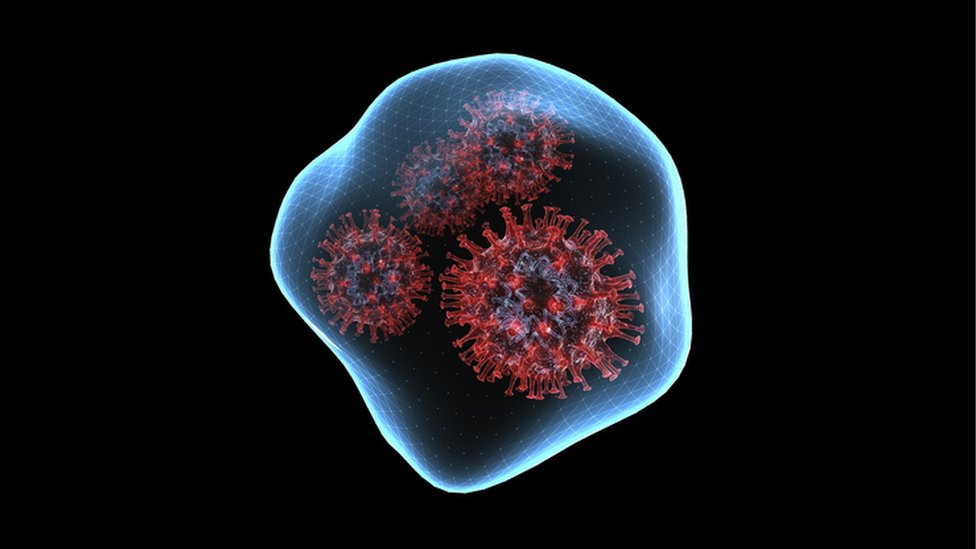 அதிரடியாக குறையும் கொரோனா அதிரடியாக குறையும் கொரோனா