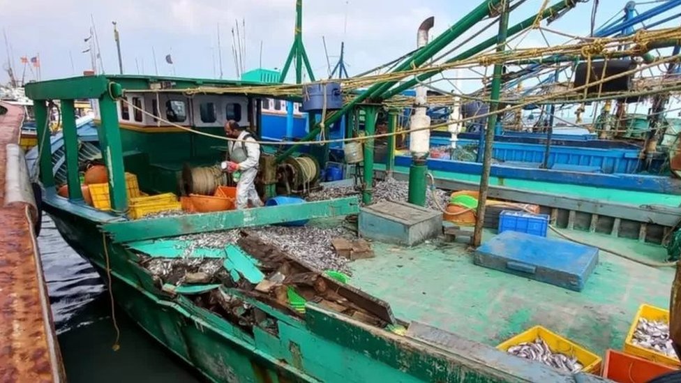  மேலும் 13 பேர் கைது- வேலை நிறுத்தம்