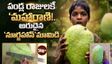 రాష్ట్రపతులు మెచ్చిన 'నూర్జహాన్'.. దేశంలో మిగిలింది మూడే!