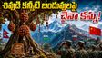 రుద్రాక్షలపై చైనా కన్ను.. శివుడి కన్నీటి బిందువుల గోడు!