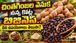 'చింతగింజలకు ఉప్పు': దీని వెనుక ఇన్ని కోట్ల బిజినెస్ ఉందా?  తెలుసుకుంటే షాకే!