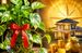 vastu tips: మనీ ప్లాంట్‌కు ఎర్ర రిబ్బన్ కడితే ఏమవుతుందో వాస్తు శాస్త్రం చెబుతున్న రహస్యం!