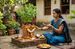 వాస్తు ప్రకారం.. ఇంట్లో తులసి మొక్కను ఉంచకూడని ప్రదేశాలు