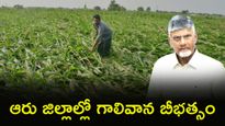 అకాల వర్షాలతో అన్నదాతకు కన్నీరు: పంట నష్టం ఎంతంటే..