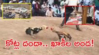 ఖాకీల నీడలో జూదశాల.. కీకారణ్యంలో కోట్ల దందా! 