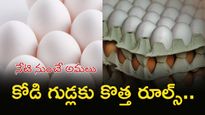 తాజా కోడిగుడ్డును గుర్తుపట్టడం ఇక ఈజీ