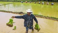 రుతుపవనాలు: 25 ఏళ్లలో ఎన్నడూ లేనంత! అన్నదాతకు అగ్నిపరీక్షే?