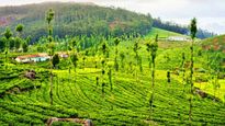 సమ్మర్ లో 'ఊటీ' టూర్.. బడ్జెట్ ధరకే ఫుల్ ఎంజాయ్ మస్తీ మజా..