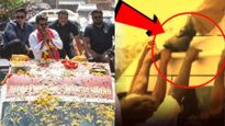 విజయ్ ప్రచారంలో దారుణం: అభిమానుల్ని బూట్లతో తన్నిన బౌన్సర్లు