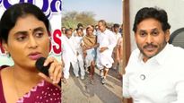 జగన్ పై అటాక్ కు కాదేదీ అనర్హం ? తండ్రి పాదయాత్రనూ వాడేస్తున్న షర్మిల..!