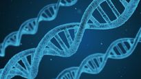 DNA: తల్లి గర్భంలోనే మీ వ్యక్తిత్వం? 'పిండ ప్రోగ్రామింగ్' అంటే ఏంటి?