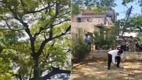 Viral Video: నోట్ల వర్షం కురిపించిన కోతి.. ఎగబడి ఏరుకున్న జనం