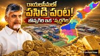 అశోకుడి కాలం నాటి బంగారం, ఎర్రగుడి శాసనాలు సాక్షిగా జొన్నగిరి: సీఎం  