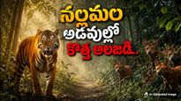 పులుల్ని ఇచ్చి కుక్కల్ని తీసుకుంటున్నారు: దేశ చరిత్రలోనే క్రేజీ డీల్!