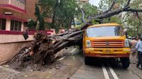 ఘోర ప్రమాదం.. స్కూల్ బస్సుపై కూలిన భారీ వృక్షం! 