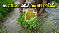 రైతులకు విజ్ఞప్తి: దొడ్డు వడ్లు వేస్తే మునిగిపోతారు. ఈ విత్తనాలకు బోనస్!