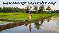 Video: ఆమె పిలుపుకు ముళ్లపంది కూడా లొంగిపోయింది..
