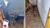 Shocking Video: భర్తను చంపి బాత్ రూమ్ లో పాతిపెట్టి..!