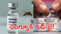 భారత్‌లో తొలి డెంగ్యూ వ్యాక్సిన్‌కు డీసీజీఐ గ్రీన్ సిగ్నల్!