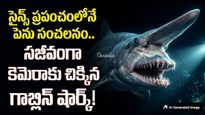 డైనోసార్ల కాలం నాటి వింత జీవి.. సముద్ర గర్భంలో అరుదైన  రహస్యం!