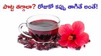 Hibiscus Tea: మందార టీతో మైండ్ బ్లాకింగ్ బెనిఫిట్స్!