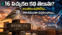 170 ఏళ్ల క్రితం చిన్న ప్రయోగం.. ఇప్పుడు ఆ దేశాన్నే ఆక్రమించి..