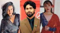 రూ.లక్షలకు లక్షలు సంపాదిస్తున్న సామాన్య ఇన్‌ఫ్లూయెన్సర్స్