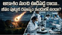 ఆకాశం నుంచి ఊడిపడ్డ ఉల్క. సైంటిస్టుల చేతికి 450 కోట్ల ఏళ్ల నాటి..