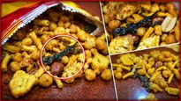 తింటే ప్రాణాలు పోవాల్సిందే! స్నాక్స్ ప్యాకెట్లో బల్లి..