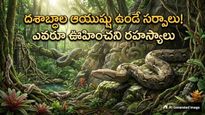 30 ఏళ్లకు పైగా జీవించే పాములు.. మన దేశ సర్ప జాతుల చరిత్ర!