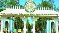 ఇంటర్వ్యూలు లేకుండానే యూనివర్సిటీలలో జాబ్స్.. 984 ఉద్యోగాల భర్తీ!