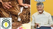 పొగాకు కొనాల్సిందే..! టొబాకో బోర్డు, కంపెనీలకు సీఎం వార్నింగ్