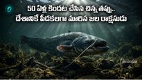 అర్ధశతాబ్దపు శాపం! దేశానికే పెద్ద ముప్పుగా మారిన రాక్షస చేప