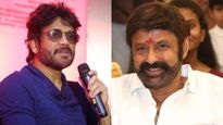నాగార్జున వద్దంటే బాలయ్య ఇండస్ట్రీ హిట్ కొట్టాడు