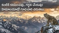 చైనాను ఆక్రమించిన మన చిరుతలు.. ఎవరికీ దొరక్కుండా 3 దేశాల్లో విహారం..