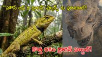 Syrax 'డ్రాగన్' నిజ రూపం: థాయ్‌లాండ్‌లో సరికొత్త ప్రాణి గుర్తింపు!