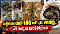పులి ఎముకలు, చిరుత చర్మాలు.. అరుదైన జీవుల స్మగ్లింగ్ ముఠా గుట్టురట్టు
