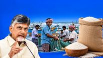 తుఫాన్ ప్రభావంతో ఇబ్బంది పడుతున్న మత్స్యకారులకు సీఎం చంద్రబాబు బిగ్ రిలీఫ్!