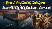 రాత్రయితే చాలు ఆ జైలు చుట్టూ మొసళ్ల విహారం.. ప్రపంచంలోనే అత్యంత కఠినమైన ప్లాన్!