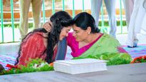 వైఎస్ షర్మిల కుమార్తె అంజలి పెళ్లి, రిసెప్షన్  డేట్స్ ఫిక్స్-ఎక్స్ లో ట్వీట్..!