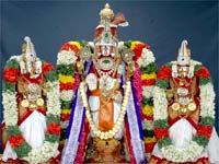 Venkateswara