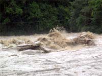 Heavy Rains