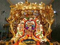 Kalpavriksha Seva
