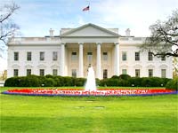 White House White House