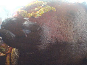 Yaganti-nandi Yaganti-nandi