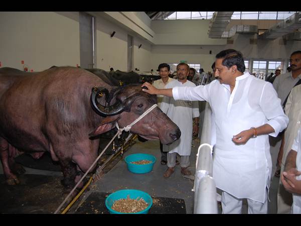 ఫొటోలు: కిరణ్ అప్పుడు సిగ్గరి, ఇప్పుడు ఇలా..