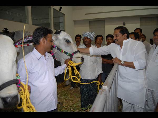 ఫొటోలు: కిరణ్ అప్పుడు సిగ్గరి, ఇప్పుడు ఇలా..